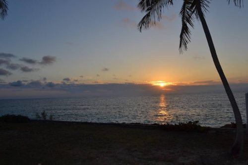 2.-Health-Consultant-Sandy-Springs-GA