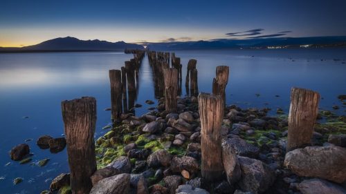 7-Health-Consultant-Sandy-Springs-GA